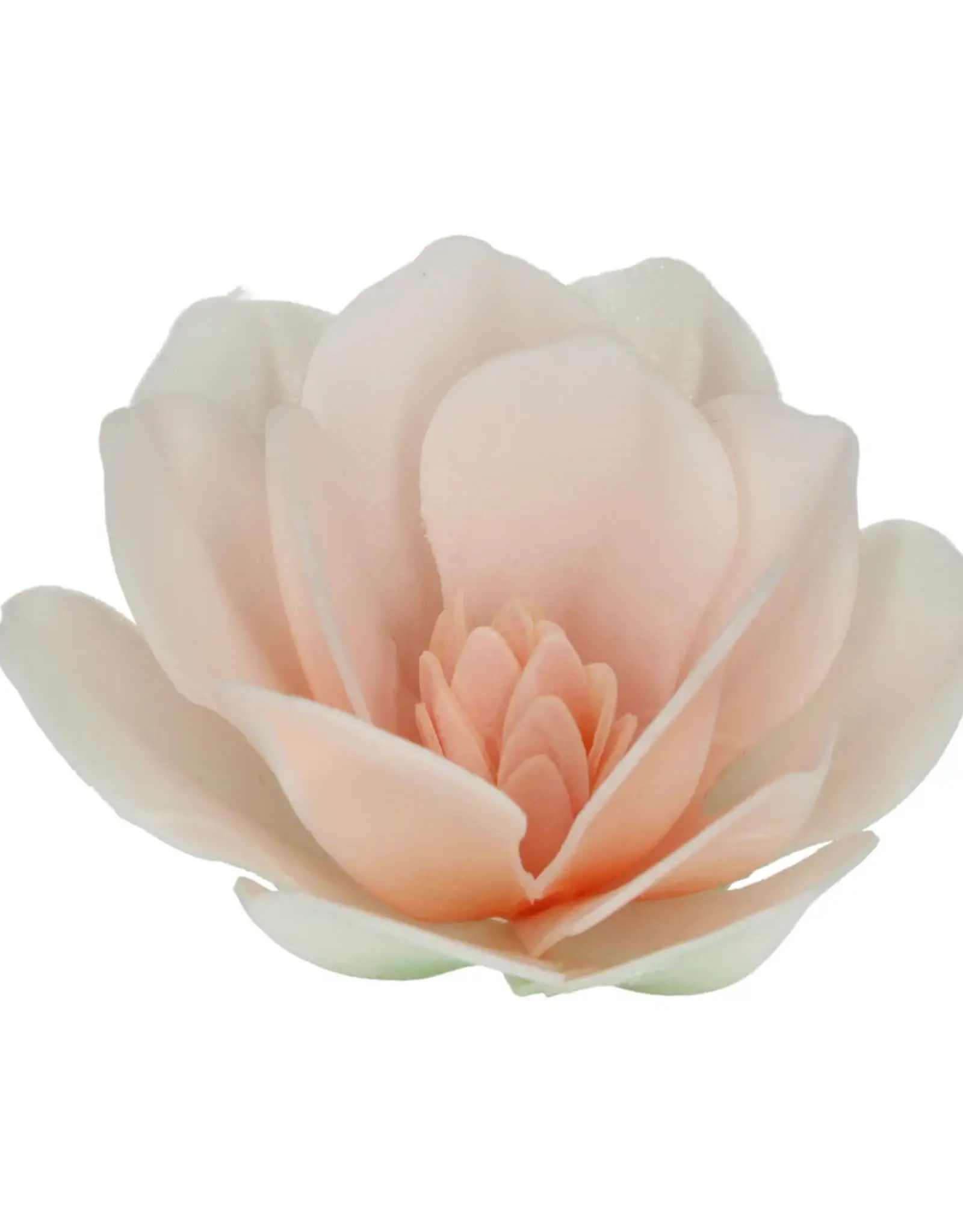 FunCakes FunCakes Eetbare Papieren Bloemen Deluxe Magnolia Wit Groot pk/6