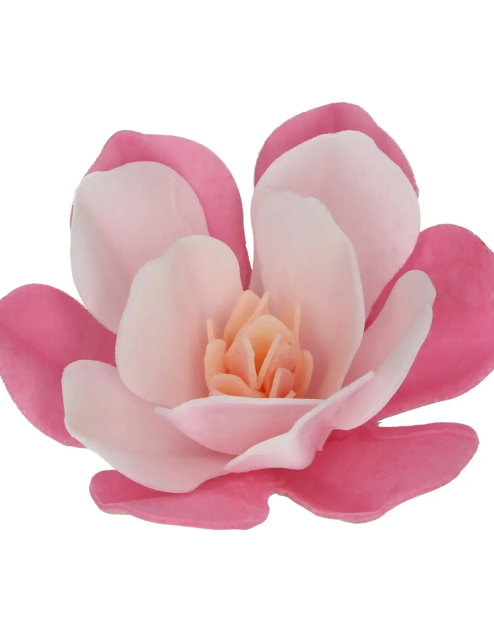 FunCakes FunCakes Eetbare Papieren Bloemen Deluxe Magnolia Roze Groot pk/6