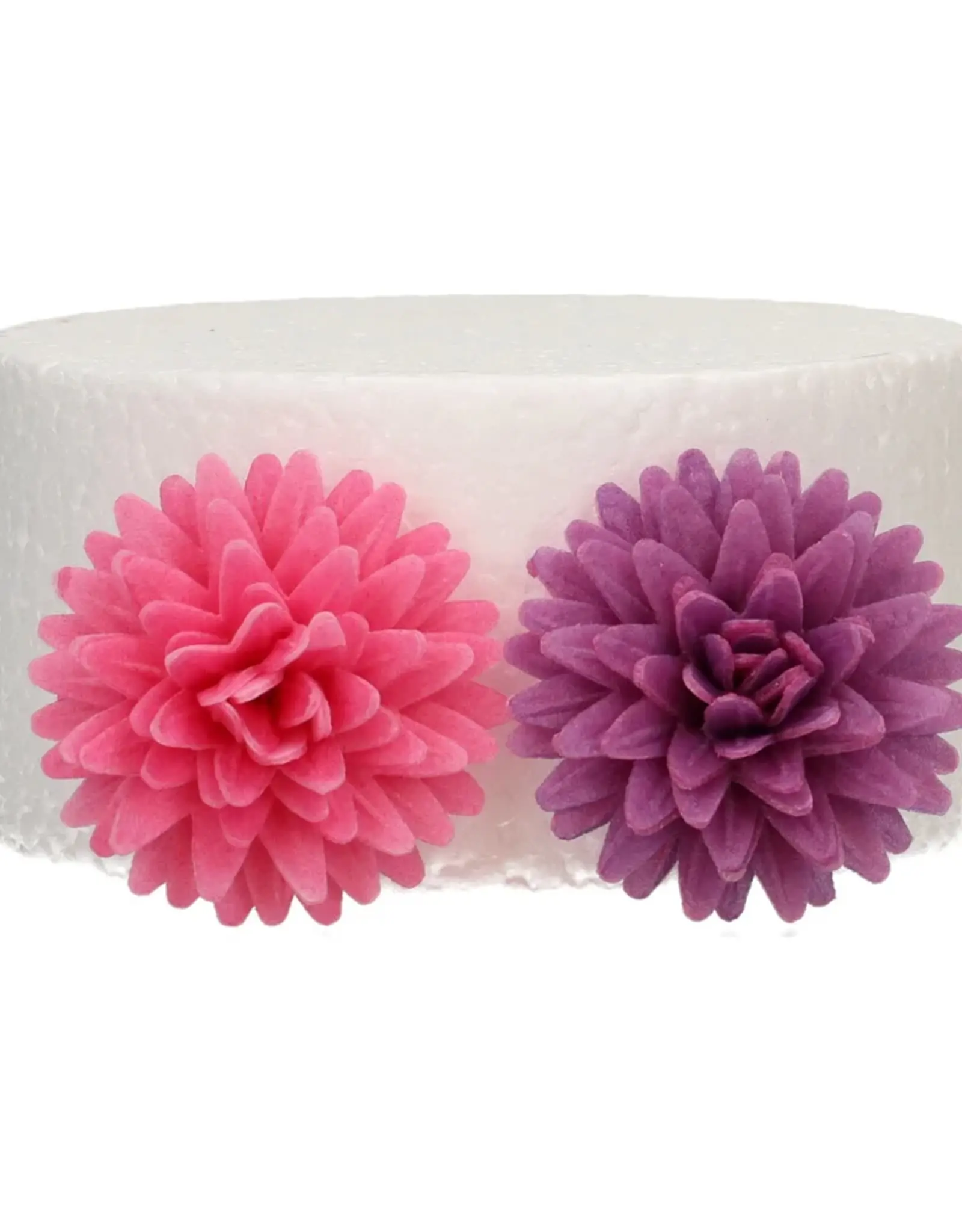 FunCakes FunCakes Eetbare Papieren Bloemen Deluxe Pompom/Margriet Mix Medium pk/12