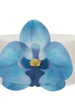 FunCakes FunCakes Eetbare Papieren Bloemen Deluxe Orchidee Blauw Medium pk/10