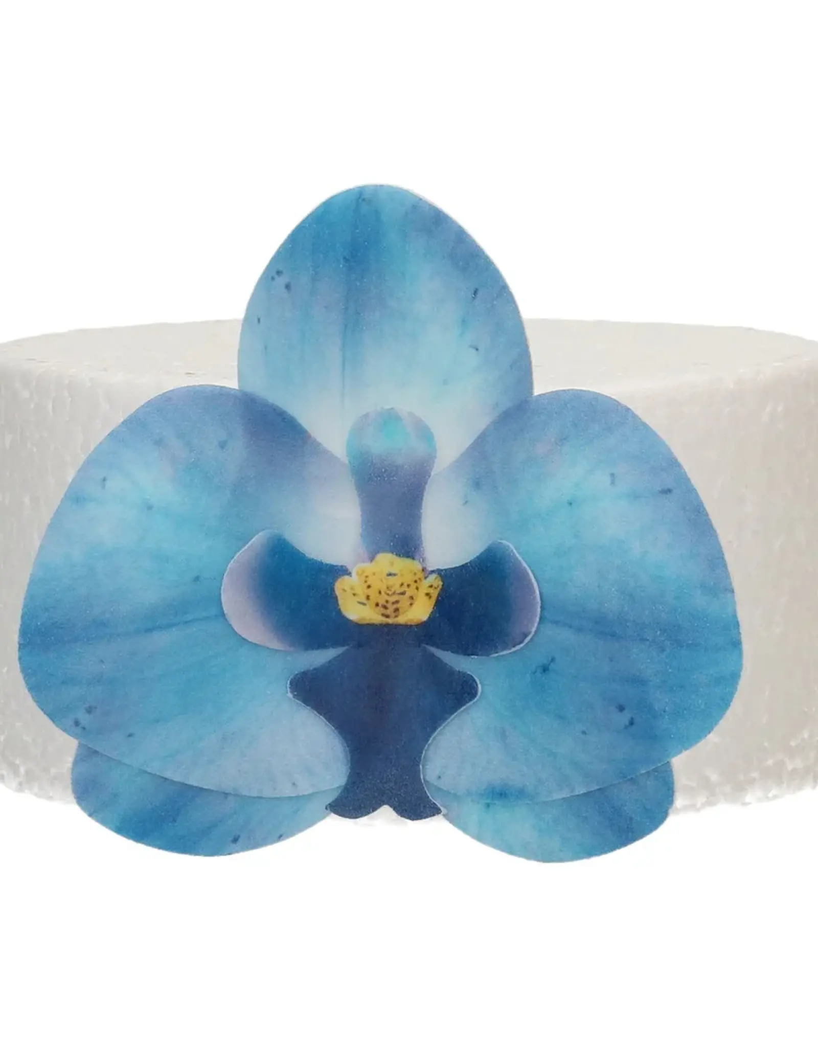 FunCakes FunCakes Eetbare Papieren Bloemen Deluxe Orchidee Blauw Medium pk/10
