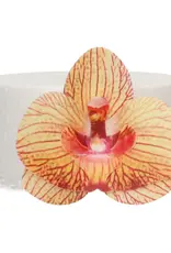 FunCakes FunCakes Eetbare Papieren Bloemen Deluxe Orchidee Goudbruin Medium pk/10