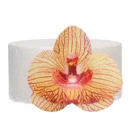 FunCakes Eetbare Papieren Bloemen Orchidee Goudbruin Medium pk/10