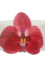 FunCakes FunCakes Eetbare Papieren Bloemen Deluxe Orchidee Rood Medium pk/10