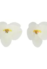 FunCakes FunCakes Eetbare Papieren Bloemen Deluxe Orchidee Wit Medium pk/10