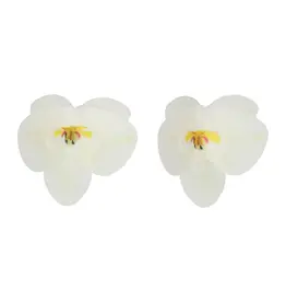 FunCakes Eetbare Papieren Bloemen Orchidee Wit Medium pk/10