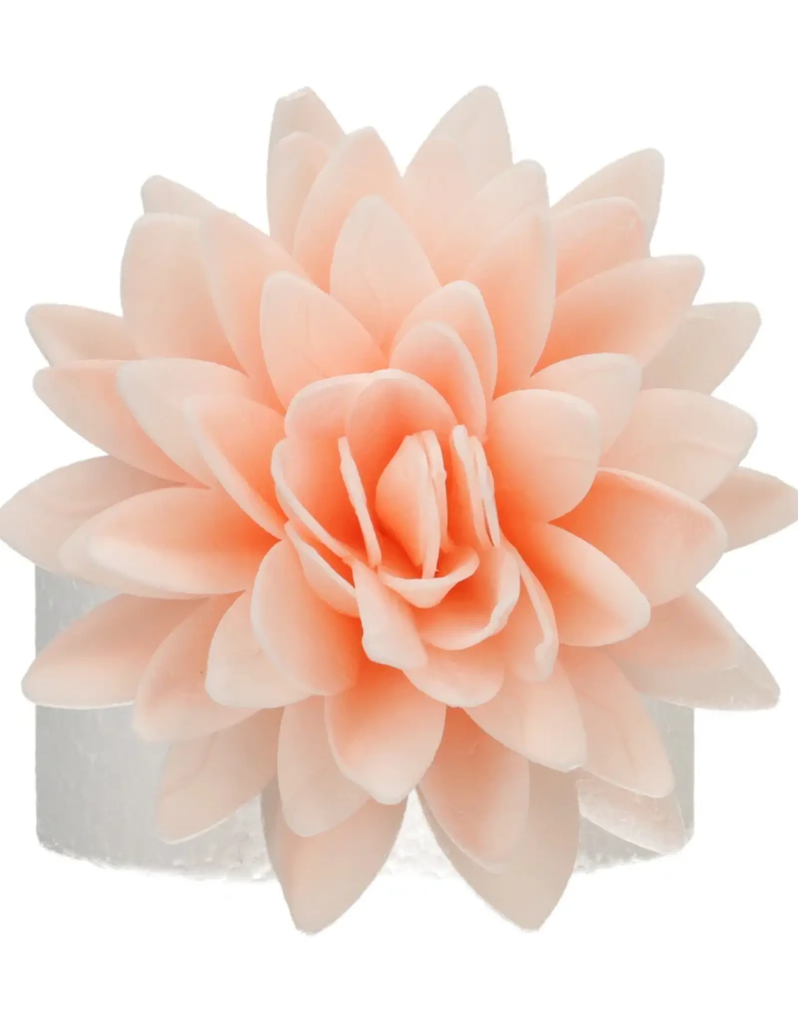 FunCakes FunCakes Eetbare Papieren Bloemen Deluxe Pioenroos Oranje Ombre Groot pk/1