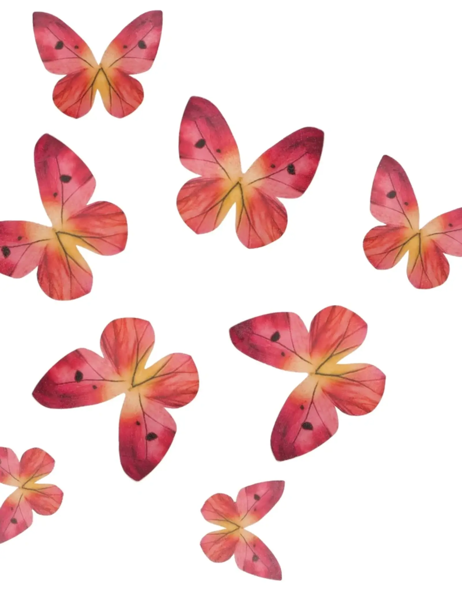 Wilton Wilton Eetbare Papieren Decoraties Vlinders Omre Roze set/8