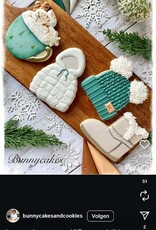 Workshop Koekjes met Royal Icing Thema Winter