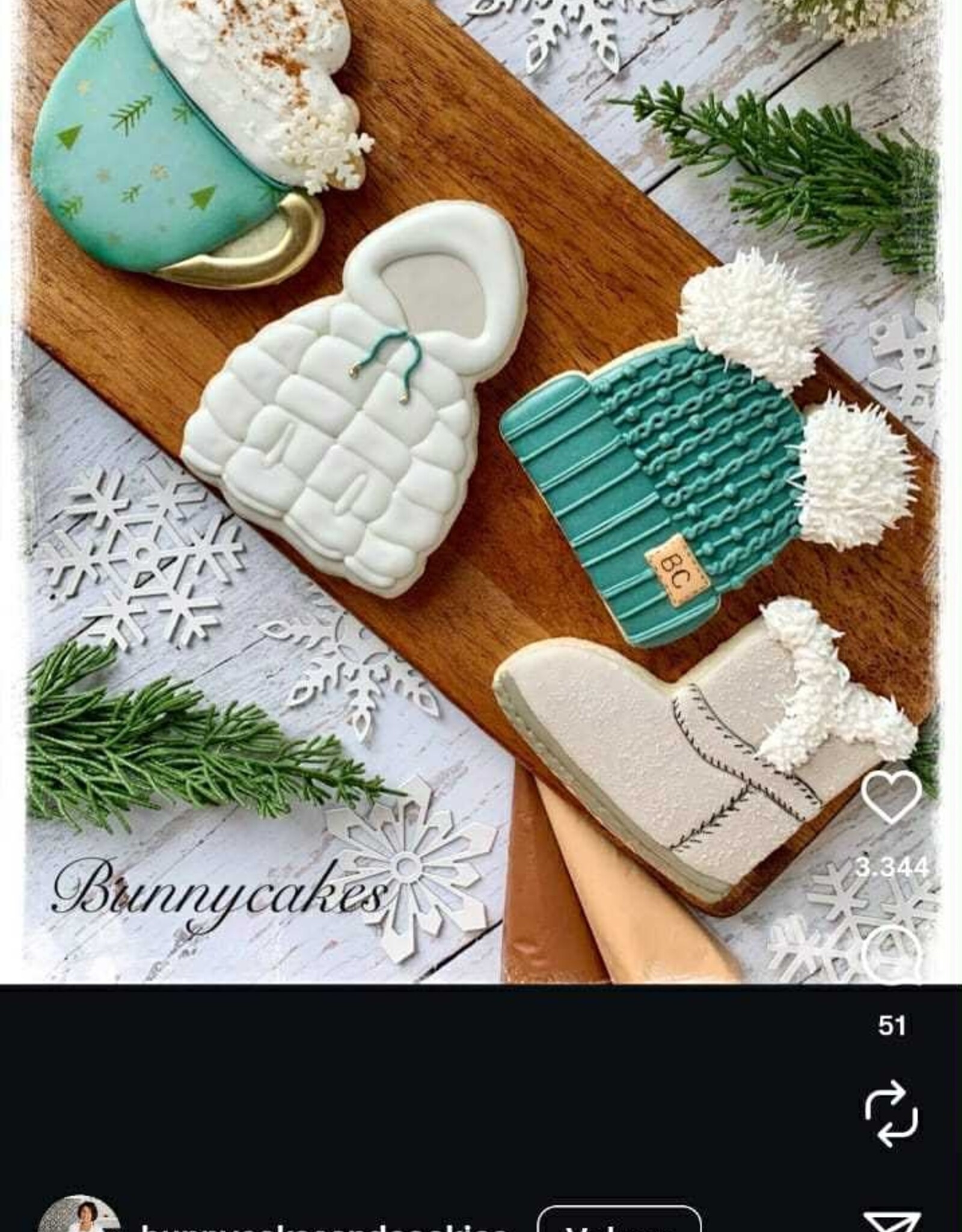 Workshop Koekjes met Royal Icing Thema Winter