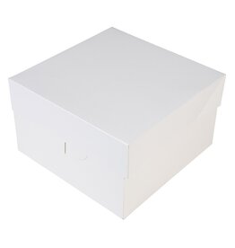 BNC Taartdoos 25x25x15 cm pk/3