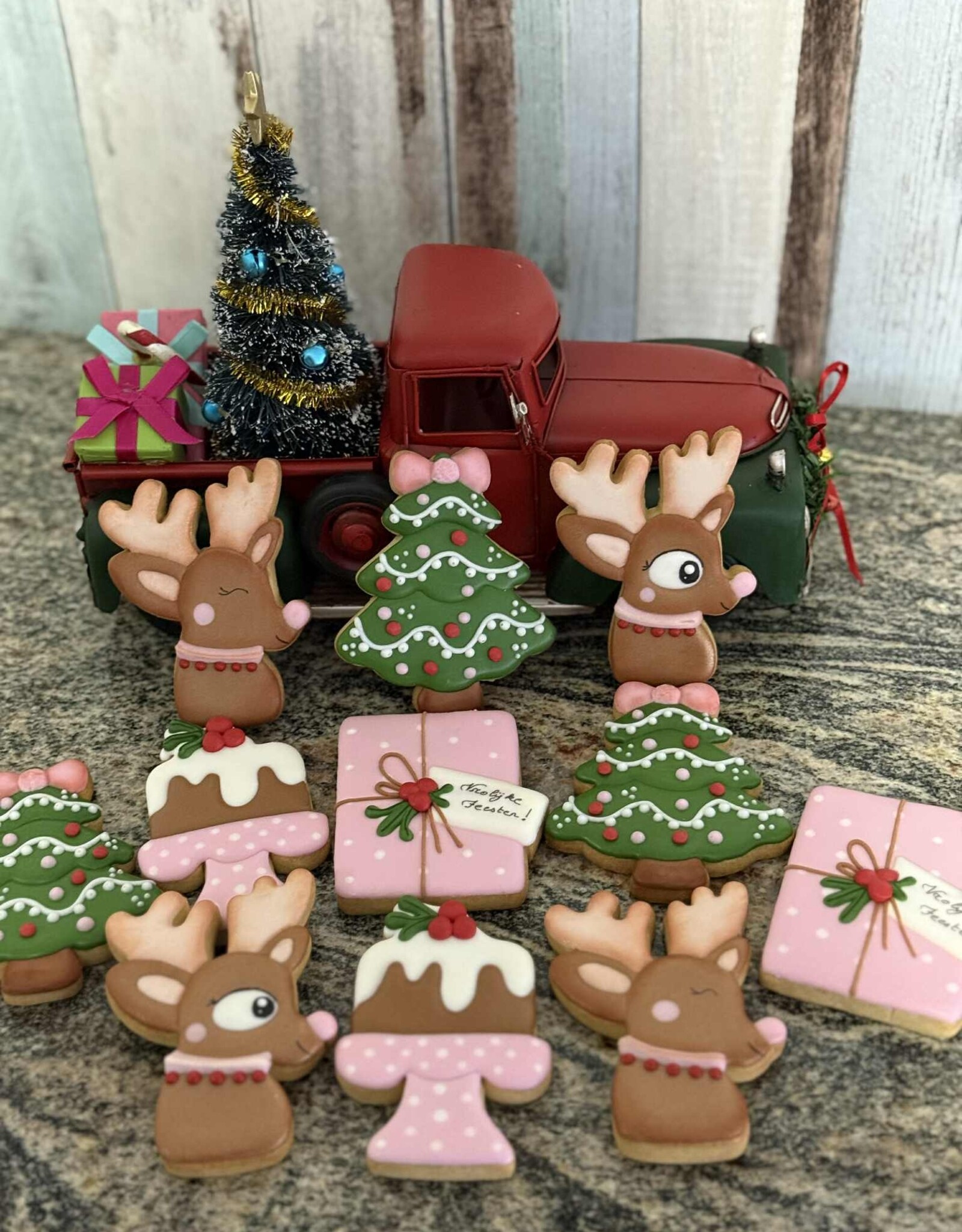 Workshop Koekjes met Royal Icing Thema Kerstmis