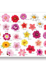 Overig Decoratie Sheet Bloemen