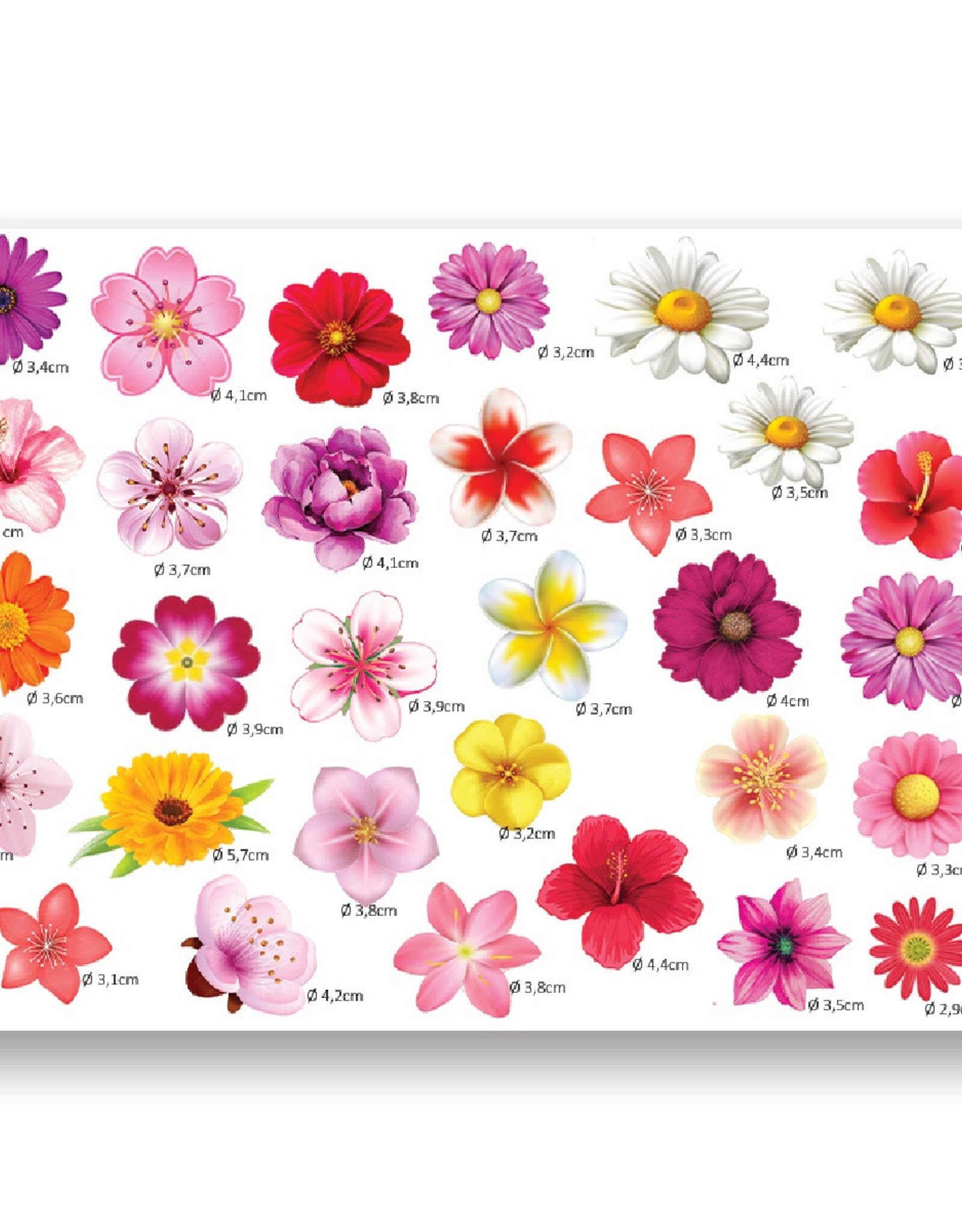 Overig Decoratie Sheet Bloemen