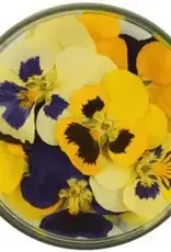Rosie Rose Eetbare Bloemen Viooltjes 15st.