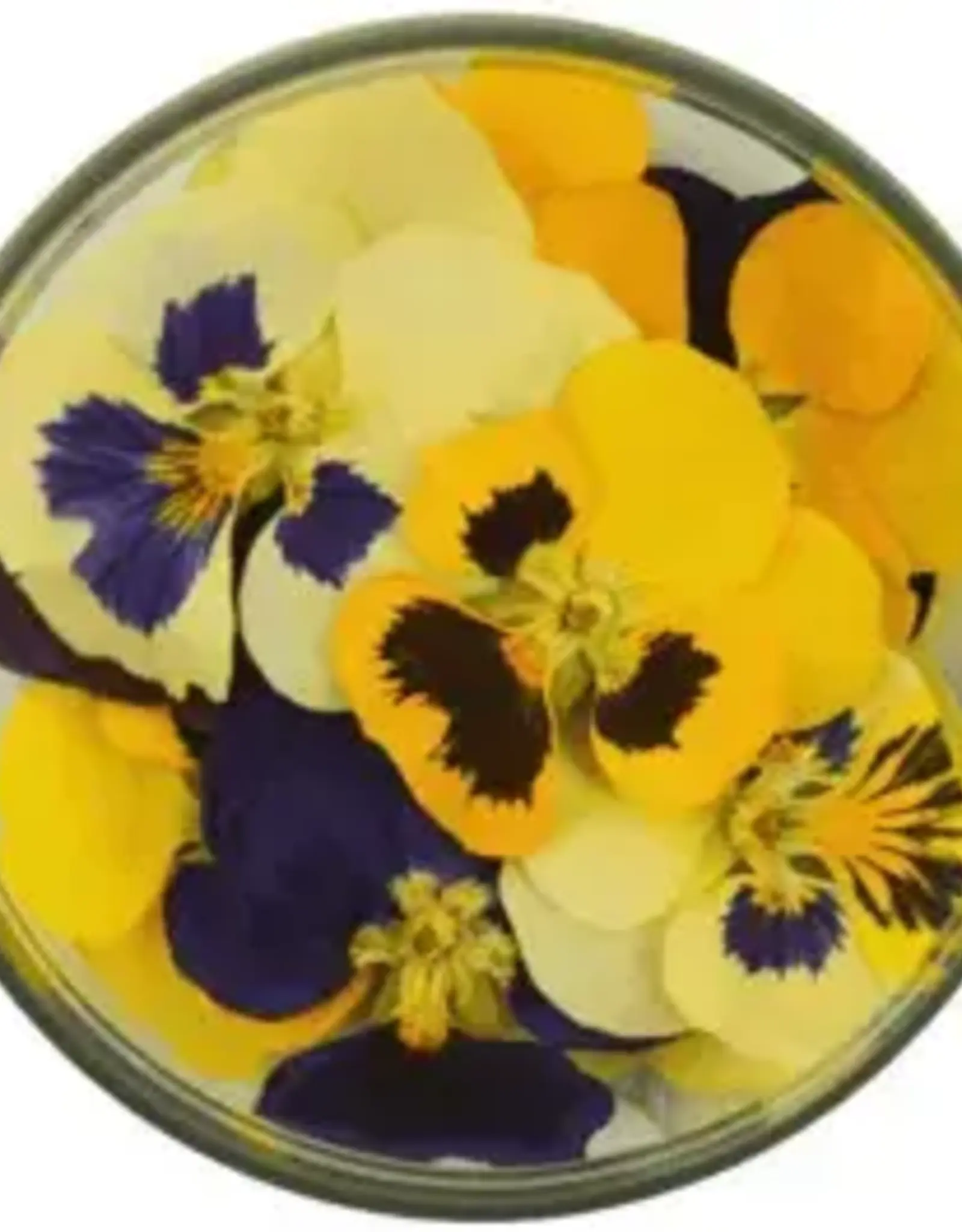Rosie Rose Eetbare Bloemen Viooltjes 15st.
