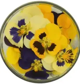 Rosie Rose Eetbare Bloemen Viooltjes 15st.
