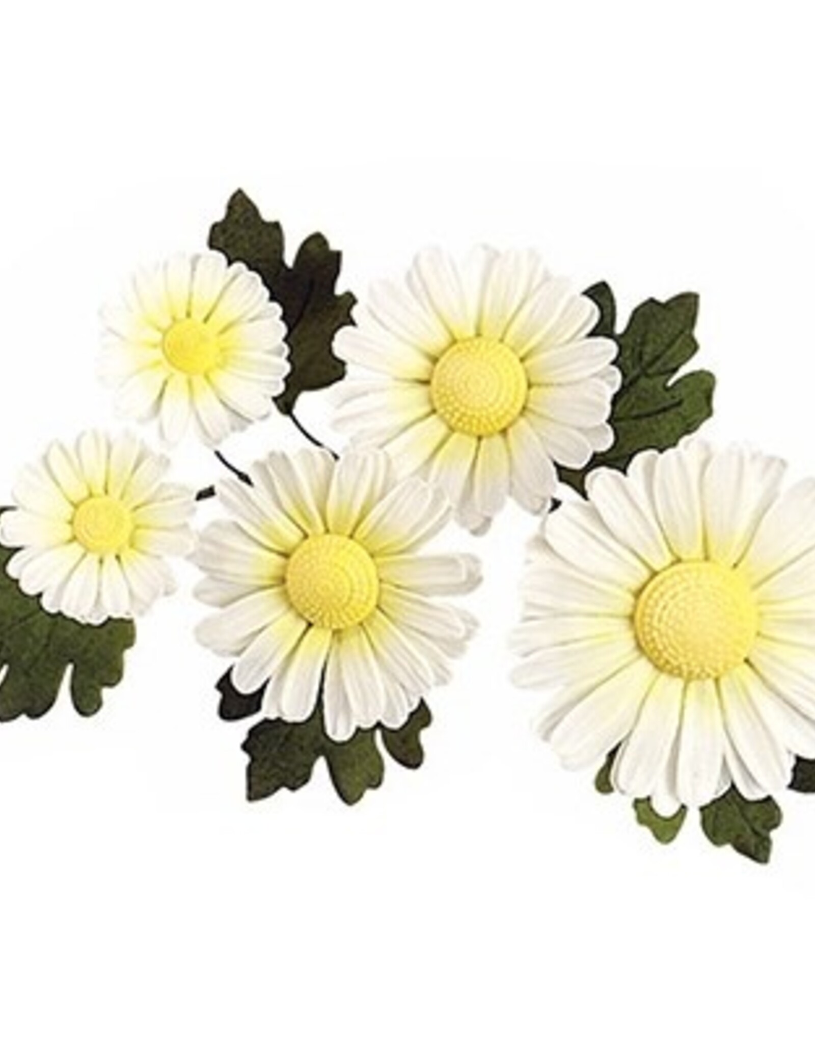 JEM JEM Daisy Centre Stamp set/6