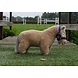 Crafty Ponies Halster blauw incl. boekje Crafty Ponies Halster blauw incl. boekje