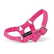 Crafty Ponies Crafty Ponies halster roze incl. boekje Crafty Ponies Crafty Ponies halster roze incl. boekje