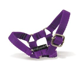Crafty Ponies Crafty Pony Licol violet y.c. livret d'instructions NL
