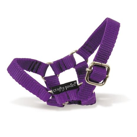 Crafty Ponies Crafty Pony Halster paars incl. instructie boekje