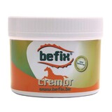 Befix Befix Cremor No Itch 500g