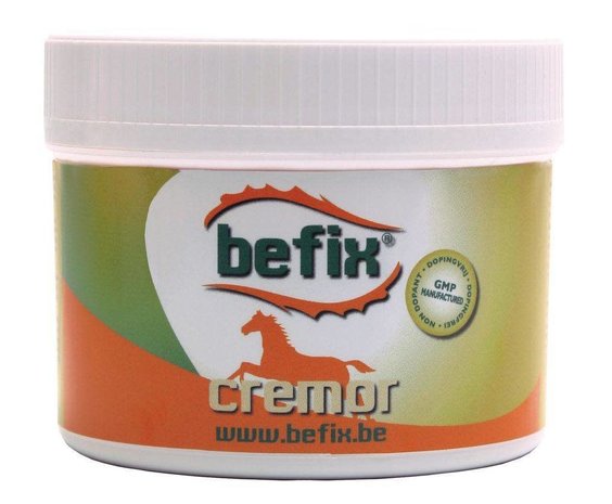 Befix Befix Cremor No Itch 500g Befix Befix Cremor No Itch 500g