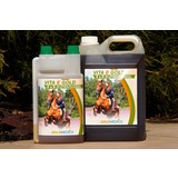 Goldmedics Vita E Gold 1 liter