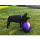 Jolly Ball Jolly Egg 30cm Rood Jolly Ball Jolly Egg 30cm Rood