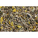 Equifyt Balance 20kg Equifyt Balance 20kg