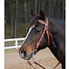 Busse Hoofdstel Western Ray Chestnut Pony Busse Hoofdstel Western Ray Chestnut Pony