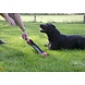 Excellent Dog Comets Star Shooter Groen Excellent Dog Comets Star Shooter Groen