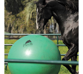 zich zorgen maken Sport Vader Speelgoed voor paarden - Aleashop