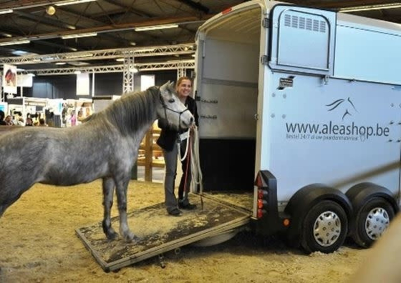 Parelli Gift card Parelli lesson