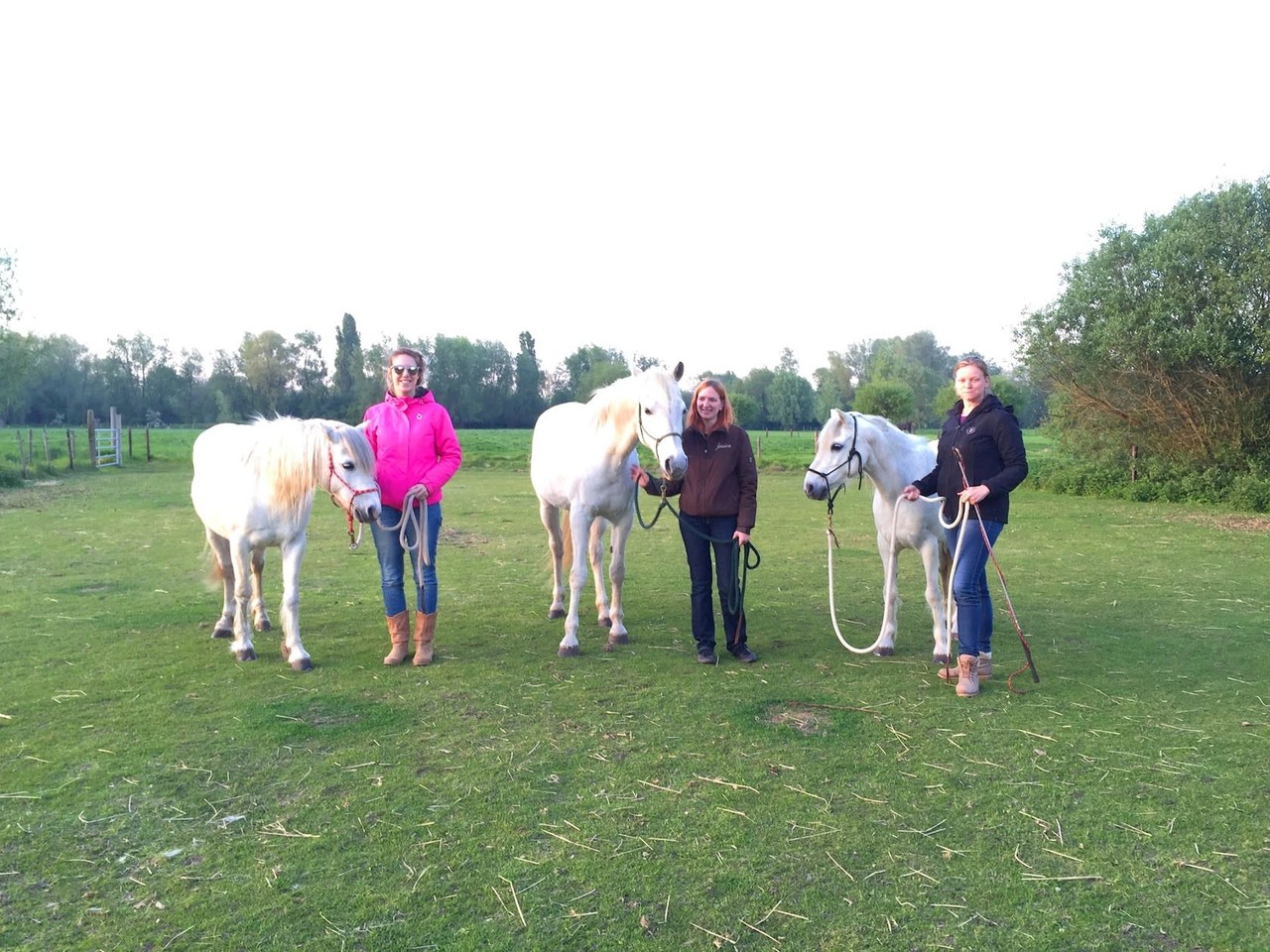 Parelli Mini course Learn the 7 games in 3 lessons by Parelli 3* instructor Kim Moeyersoms Parelli Mini course Learn the 7 games in 3 lessons by Parelli 3* instructor Kim Moeyersoms