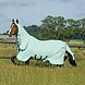 Horseware Eczeemdeken Rambo Hoody Sweetitch Green/Sage Horseware Eczeemdeken Rambo Hoody Sweetitch Green/Sage