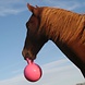 Jolly Ball Jolly Ball 10' Jolly Ball Jolly Ball 10'