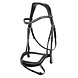 BR BR Bridle Stanley BR BR Bridle Stanley