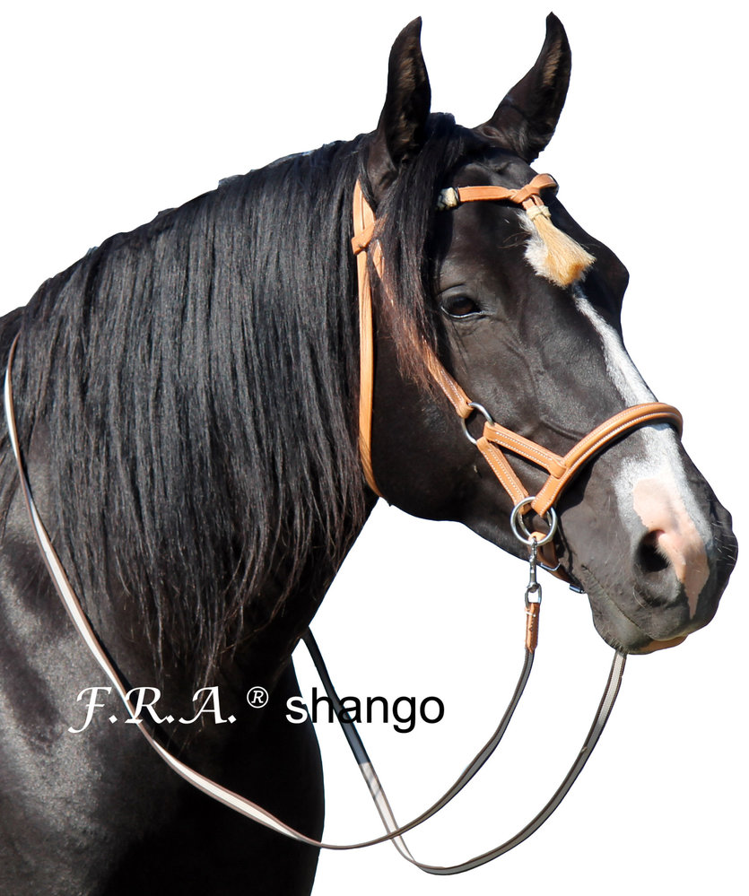 F.R.A. Shango Western-look Sidepull - met teugels