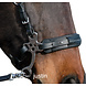 F.R.A. Justin set hackamore scharen 150mm RVS F.R.A. Justin set hackamore scharen 150mm RVS