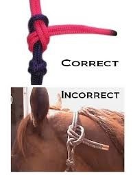 How do I tie my rope halter correctly? - Aleashop