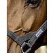 Busse Halster Strong Ho II zwart Busse Halster Strong Ho II zwart