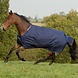 Bucas Irish Turnout Light/50 Navy/Gold Bucas Irish Turnout Light/50 Navy/Gold