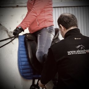 Professional saddle fitter