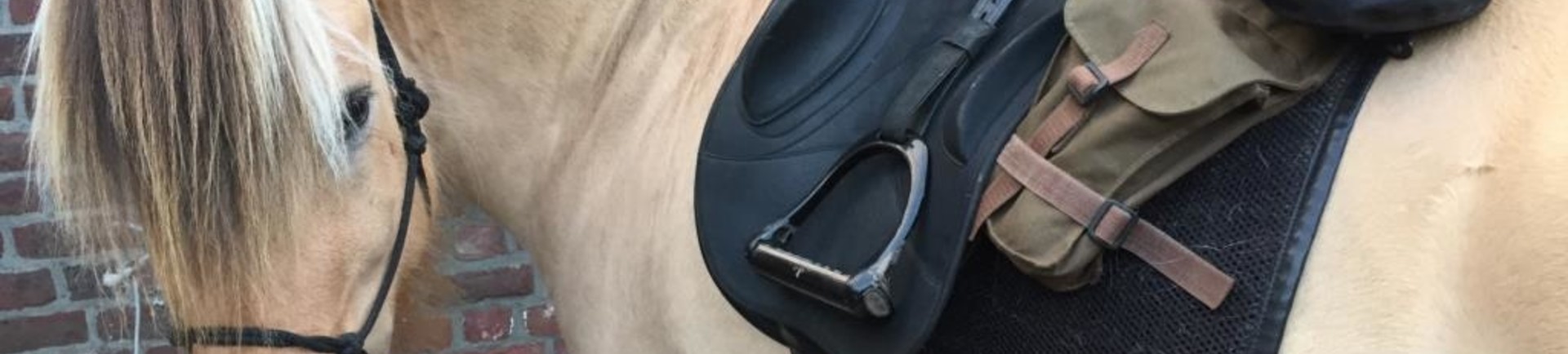 Handige tips voor het gebruik van zadeltassen, door de Alea-team trektochtexperten!