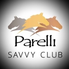 De Savvy Club De Savvy Club