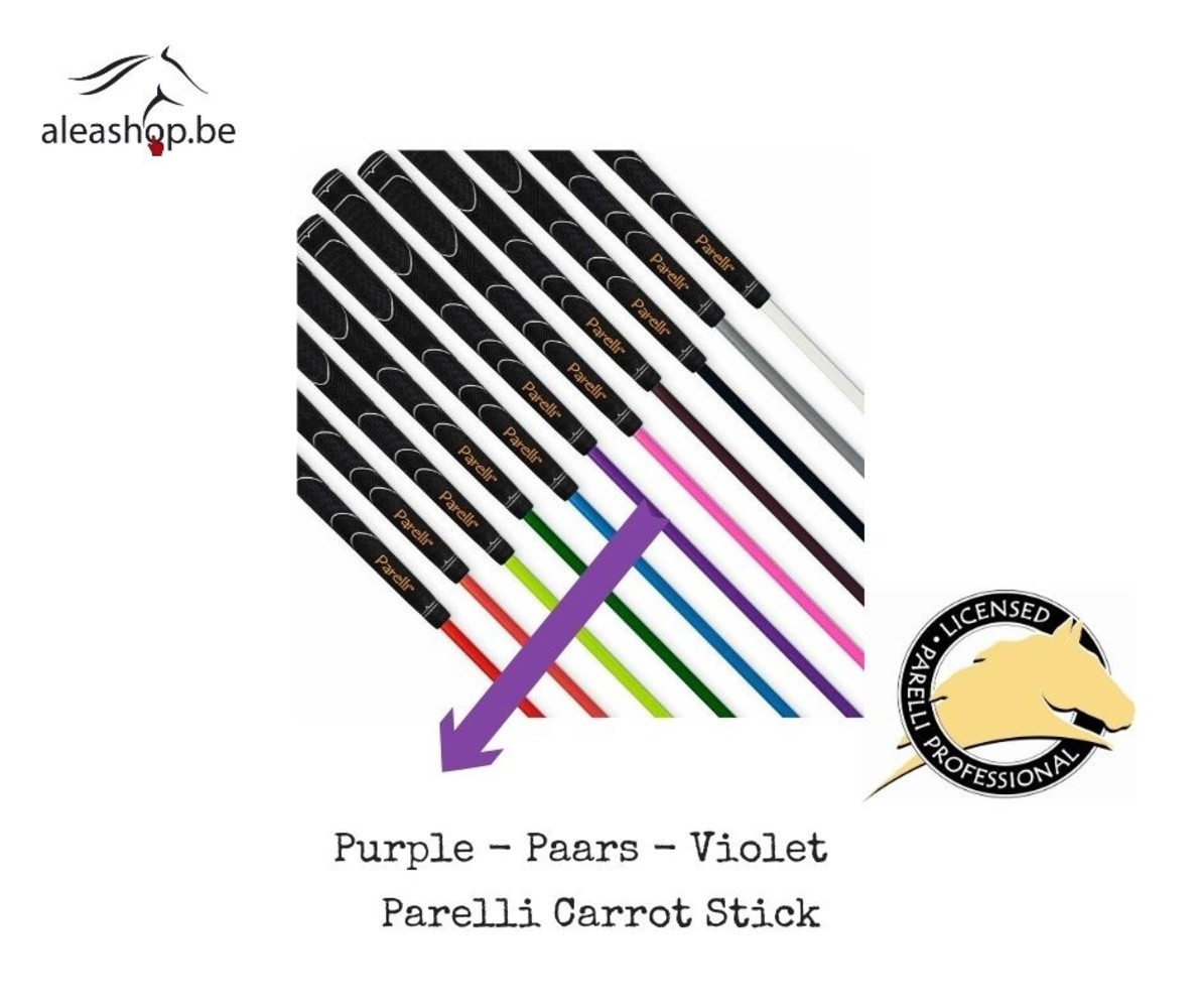 Parelli Carrot Stick
