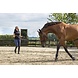 Premiere Lunge Line 8m Premiere Lunge Line 8m