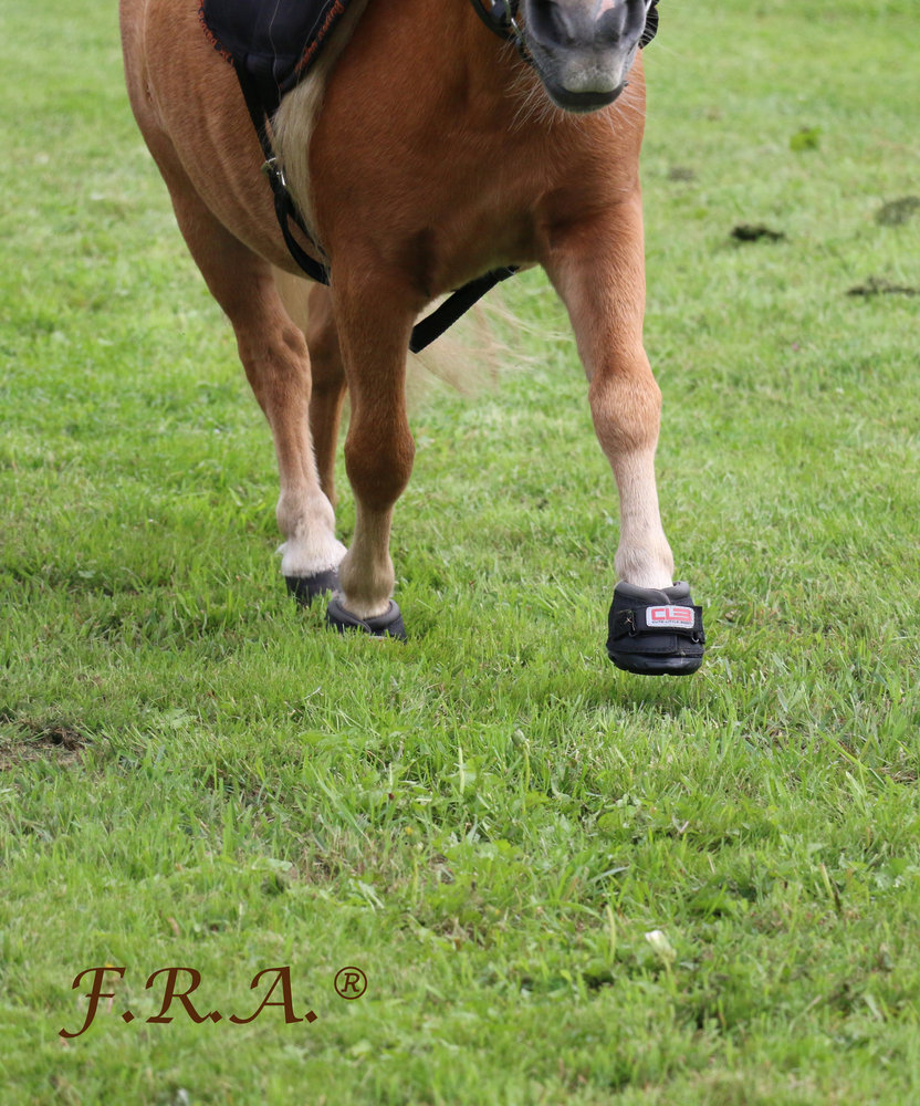 Cavallo Hoefschoenen Cute Little Boot Zwart